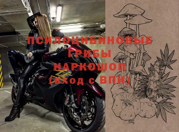 apvp Балахна
