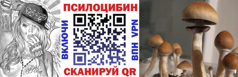 Псилоцибиновые грибы Cubensis  Трёхгорный 